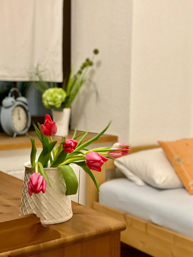 Ferienwohnung Am Weinberg Meißen Eksteriør bilde