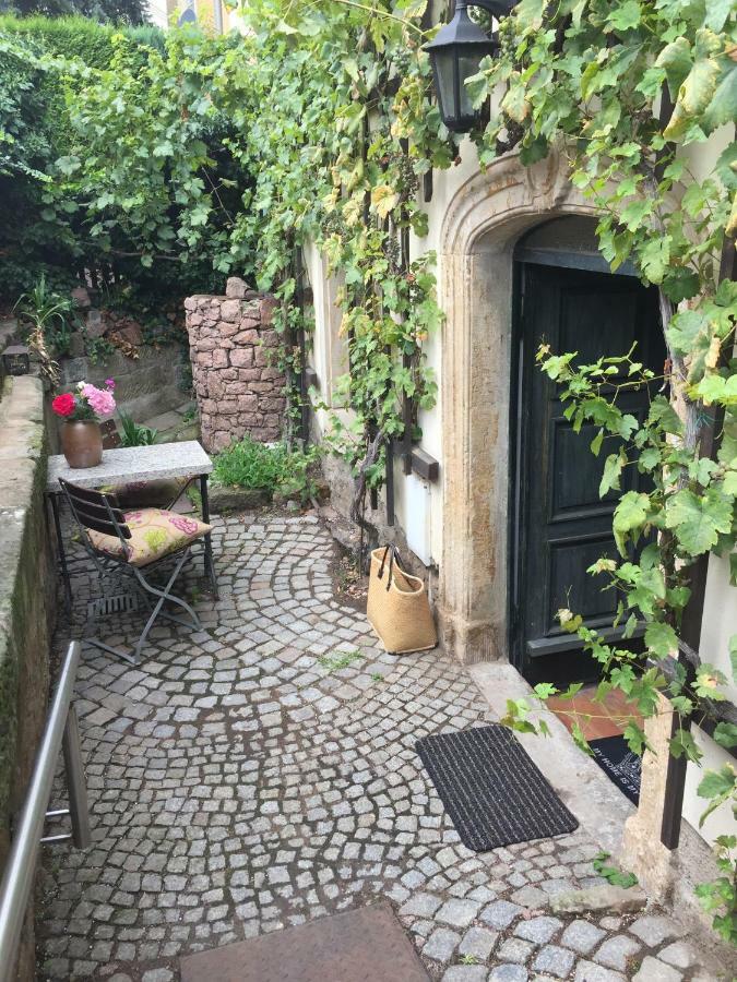 Ferienwohnung Am Weinberg Meißen Eksteriør bilde